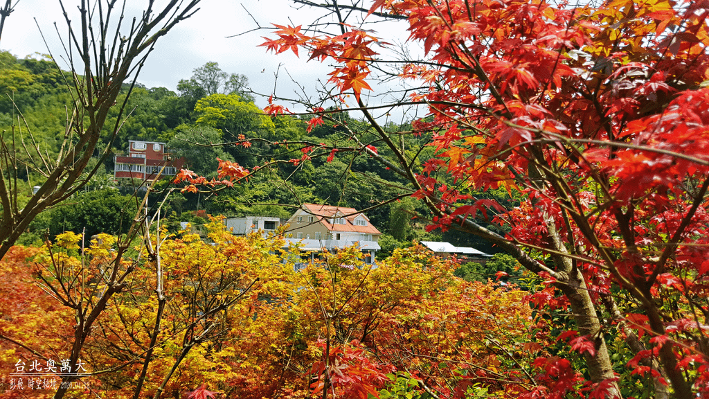 台北奧萬大