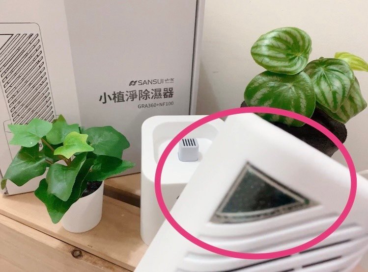 史上最強、乾爽淨化除濕器推薦｜SANSUI 山水｜小植淨除濕