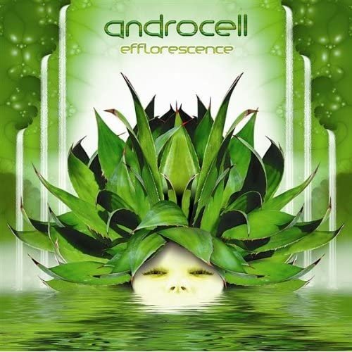 Androcell - Efflorescence.jpg