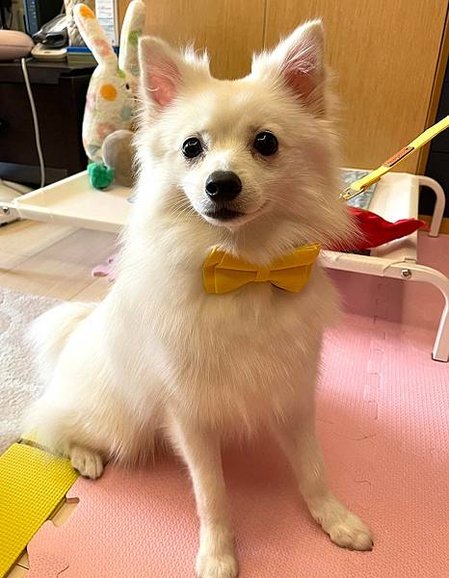 美好毛日_210823_5.jpg