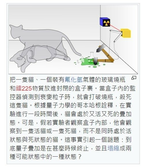 研討量子力學詮釋問題時，薛丁格貓也時常會被提出-薛丁格貓T恤