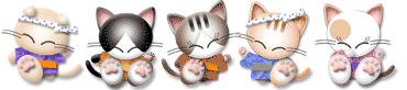 5 Ekor Cattie