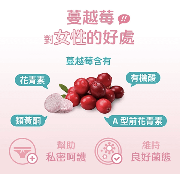 取代氣泡飲提升防護發泡錠2.2