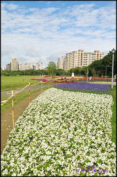 古亭河濱公園_096.jpg