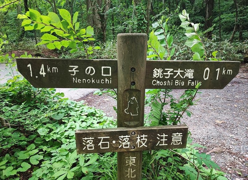 20230713_04 奧入瀨溪 41s.jpg