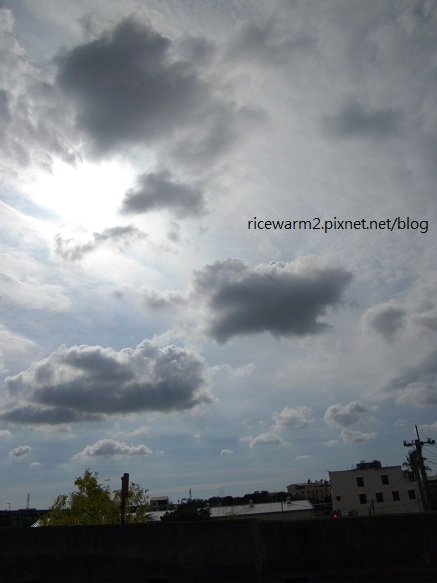 IMGP0967.jpg