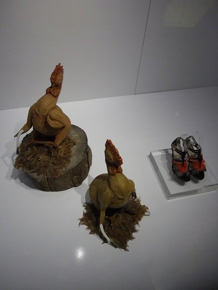 IMGP1179.jpg