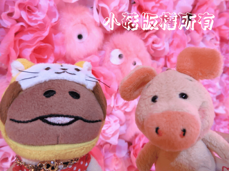 PhotoGrid_1487222020958.png