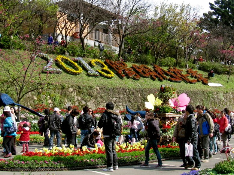 陽明山花季2013_4.jpg