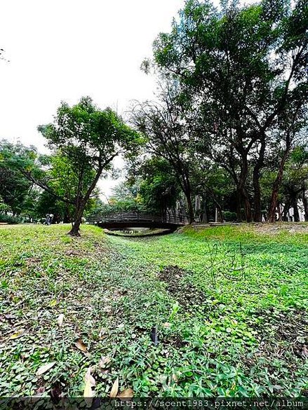 ＊【台南開箱】超酷的城市森林「巴克禮紀念公園」荒野公園，你我