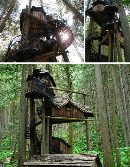 tree-house-2