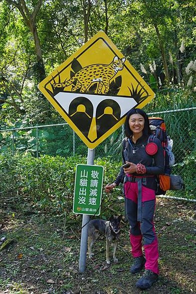 《島內出走》帶著毛小孩徒步苗栗 D4｜錫隘時光隧道。偶然窺見