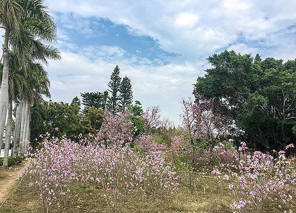 台南北區景點－台南公園