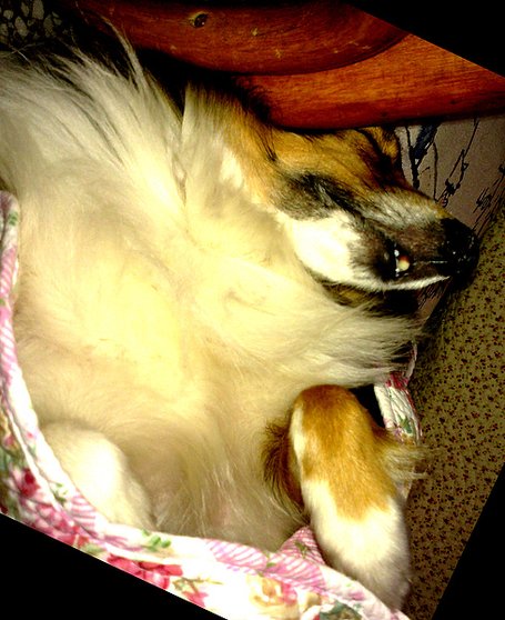 20100116292.jpg