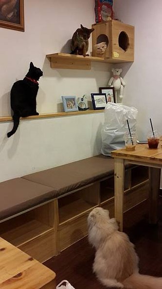 20140826_140732.jpg
