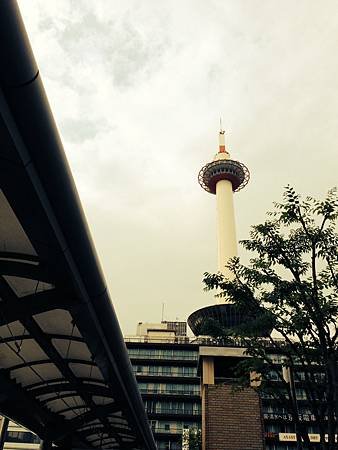 IMG_3946.JPG