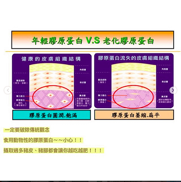 螢幕快照 2018-08-14 13.41.30