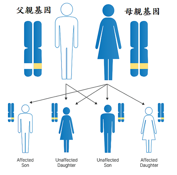 癌症居冠42年，COVID-19減少使死亡人數降低：深入了解