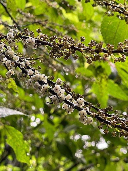 LINE_ALBUM_20250413路觀_250417_16.jpg