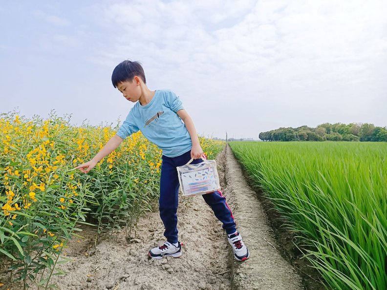 收納控必備｜「樂高收納箱+百寶袋王」居家收納煥然一新。我把樂