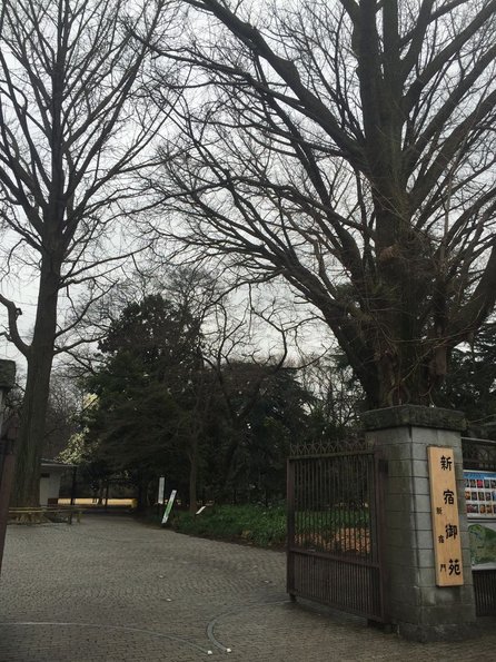 2016-03-11 09.28.13.jpg