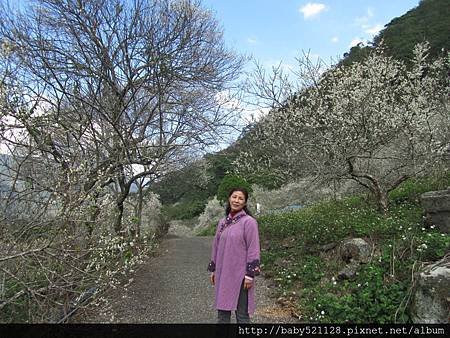 IMG_0849-1.JPG