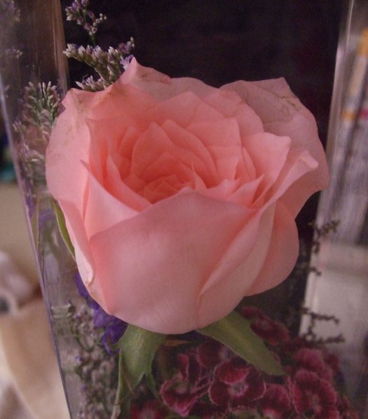 01照片 042.jpg