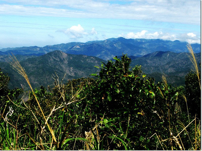 牡丹路山800山頭北眺群山 2