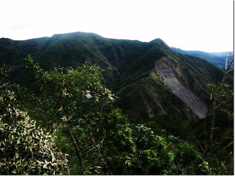 霧里乙稜線東南望巴層巴墨山(中)、825山頭(右) 1