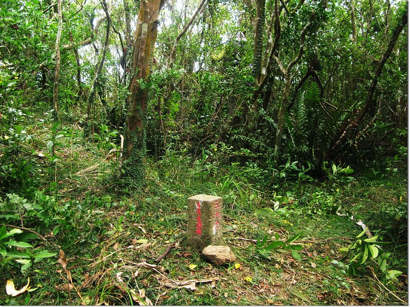 霧里乙山東北峰台灣省政府圖根補點(Elev. 1026 m) 2