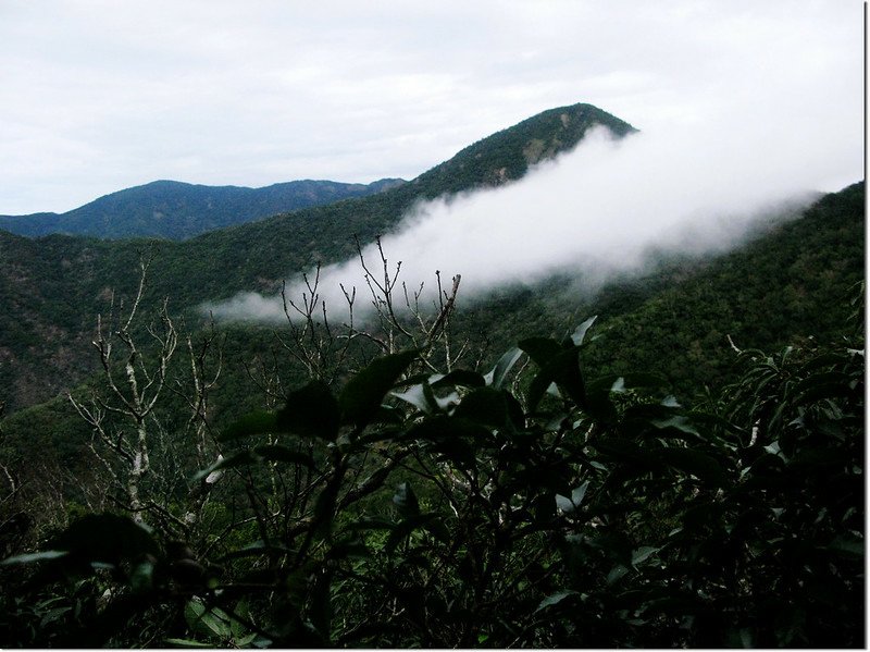 霧里乙山東北峰山頂北望南、北湖呂連稜 1