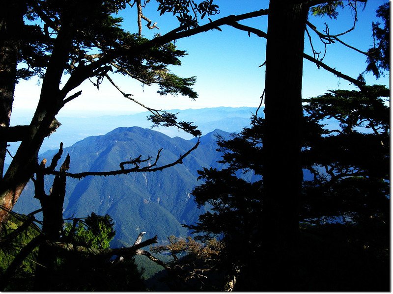 治茆山東北稜北望水社大山