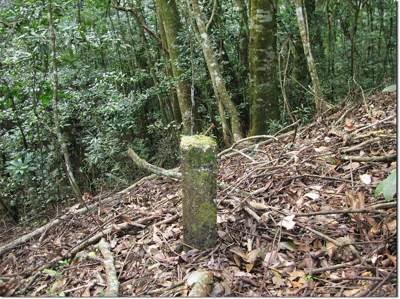 北治茆山山字水泥柱