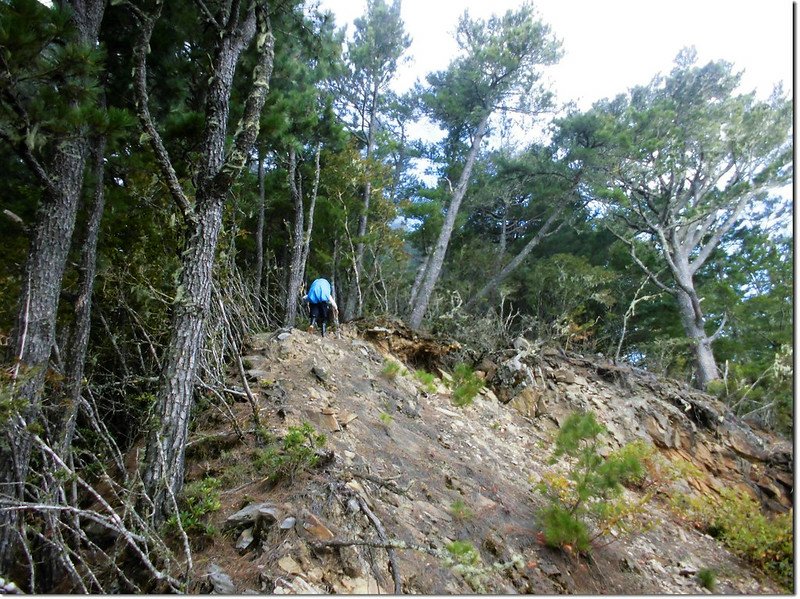 登治茆南峰崩壁區 1