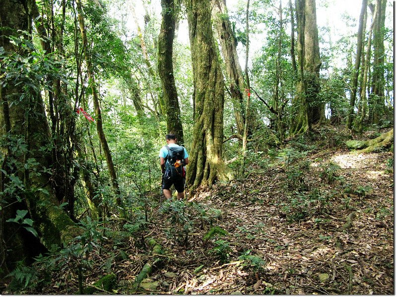 斯拉巴庫山登山途中景觀 5