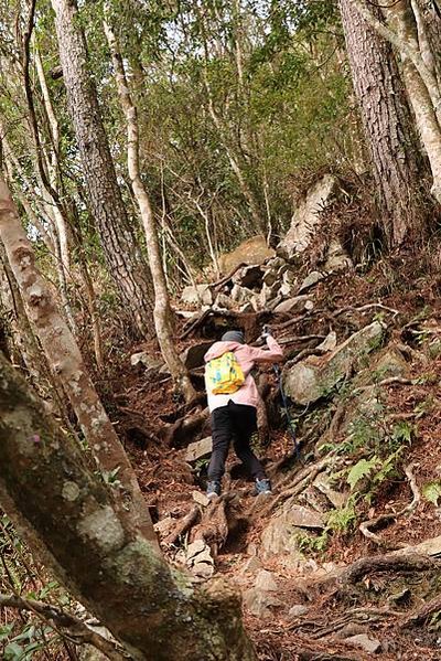 【鳶嘴山】鳶嘴山，全台知名危岩聳壁地形，挑戰驚險峭壁攀岩，走