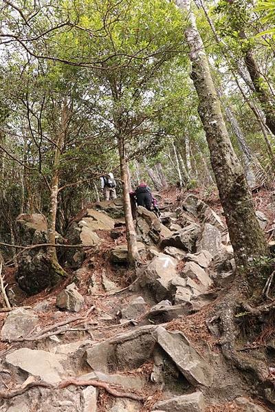 【鳶嘴山】鳶嘴山，全台知名危岩聳壁地形，挑戰驚險峭壁攀岩，走