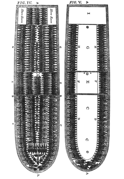 416px-Slave_ship_diagram