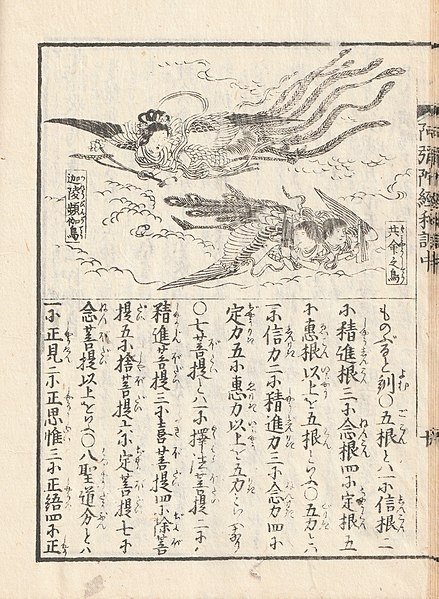 Birds_AMIDA-KYŌ_WAKUN_ZUE_阿弥陀経和訓図会_迦陵頻伽_共命鳥