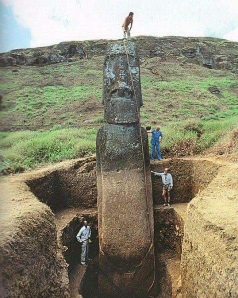 來自台灣人造摩艾石像是1250年至1500年間，由玻里尼西亞