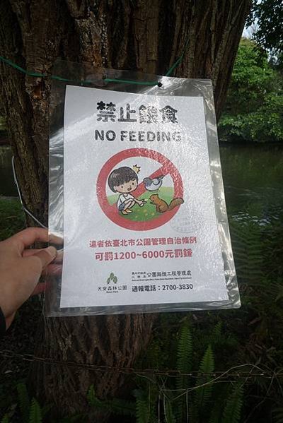 大安森林公園