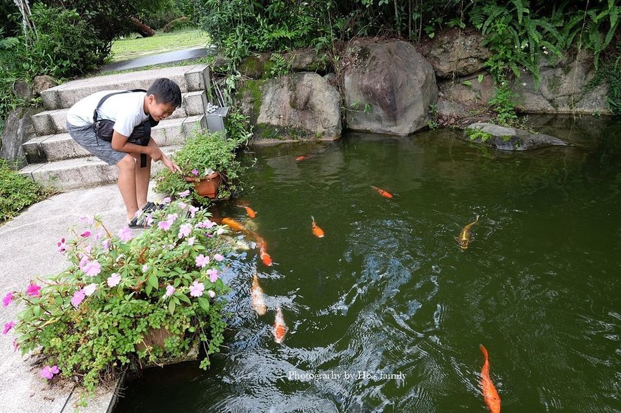 【南投埔里親子景點】台一生態休閒農場(楓樺台一渡假村)～戲水池玩水、沙坑玩沙，水上心型落羽松ig打卡景點23.JPG