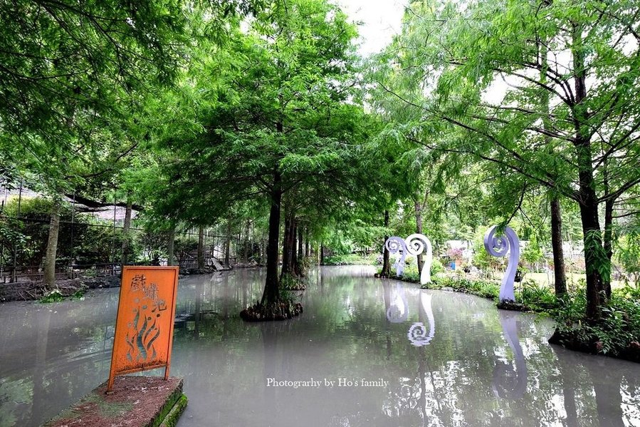 【南投埔里親子景點】台一生態休閒農場(楓樺台一渡假村)～戲水池玩水、沙坑玩沙，水上心型落羽松ig打卡景點29.JPG