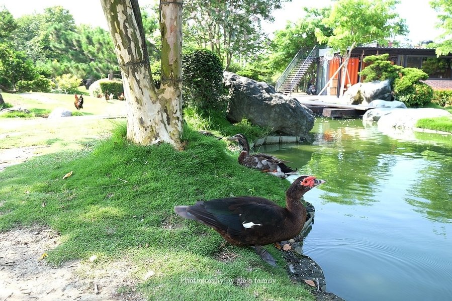 【雲林景點一日遊】澄霖沉香味道森林館～免費親子景點12.JPG