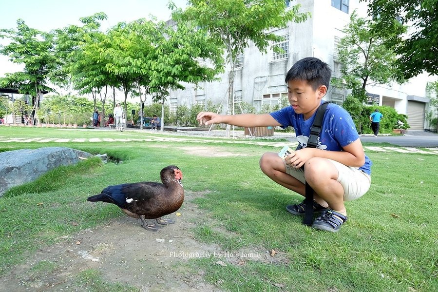 【雲林景點一日遊】澄霖沉香味道森林館～免費親子景點11.JPG