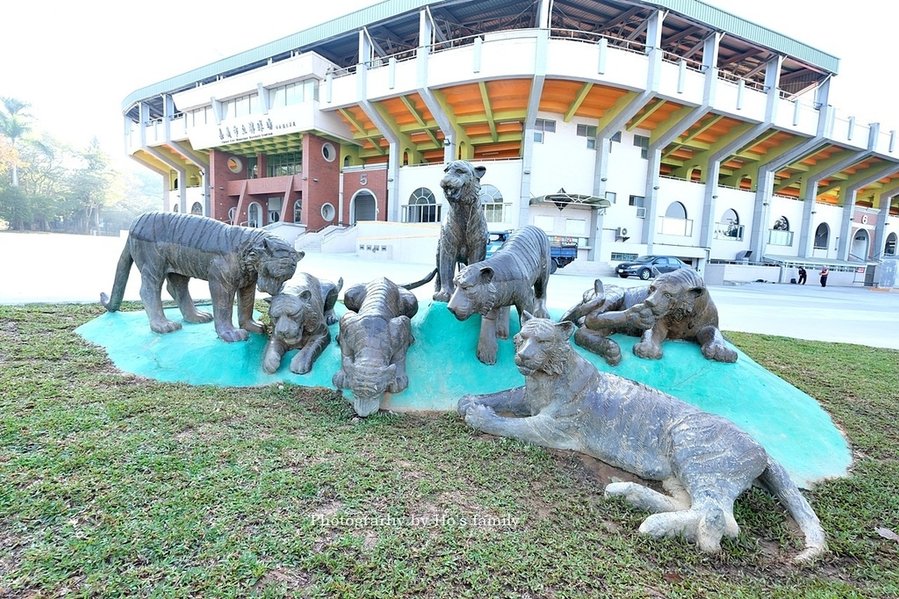 【嘉義親子公園】嘉義市城鎮之心滑草場、溜滑梯、玩水3.JPG