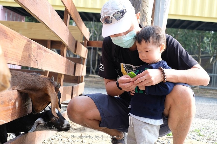 【雲林親子景點】古坑鹿營親子農場～滑草、餵小動物、落羽松林、親子餐廳21.JPG