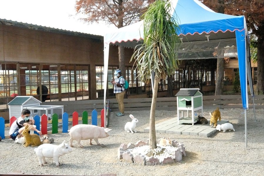 【雲林親子景點】古坑鹿營親子農場～滑草、餵小動物、落羽松林、親子餐廳23.JPG