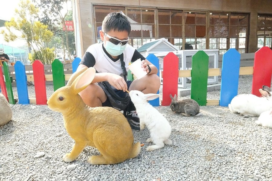 【雲林親子景點】古坑鹿營親子農場～滑草、餵小動物、落羽松林、親子餐廳24.JPG