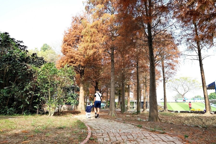 【雲林親子景點】古坑鹿營親子農場～滑草、餵小動物、落羽松林、親子餐廳28.JPG